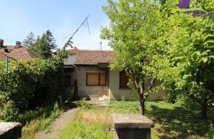 thumb_2819604_img_7988.jpg