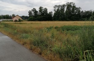 thumb_2819737_img_20220708_162300.jpg