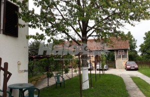 thumb_2822872_kuca-u-ljukovu-indjija-5425641714909-71799485645.jpg