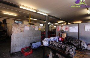 thumb_2839387_img_7657.jpg