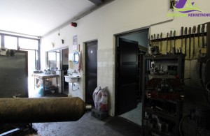thumb_2839387_img_7660.jpg