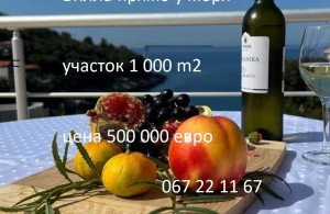 thumb_2845888_456973054_8576769569020417_2762491223355649854_n.jpg