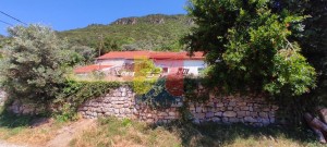 thumb_2881078_happymontenegro-prelepo-zemljiste-sa-maslinikom1w.jpg