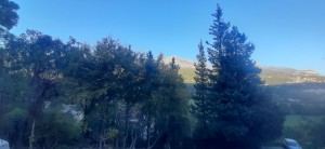 thumb_2885359_20221028_164247.jpg