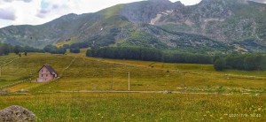 thumb_2887470_plac-zabljak-5342_8.jpg