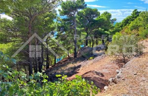 thumb_2905222__land_plot_in_the_first_row_to_the_sea_and_with_access_t.jpg