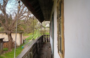 thumb_2907547_im002386.jpg