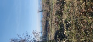 thumb_2914543_img_20230115_145156.jpg