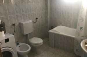 thumb_2922373_img_0246.jpeg