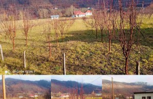 thumb_2925267_slika-m1.jpg