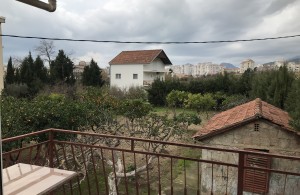 thumb_2926647_img_0480.jpeg