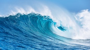 thumb_2942936_meer_epicstockmedia_fotolia_61981641.jpg