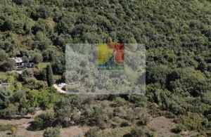 thumb_2943631_happymontenegro1--1-.jpg