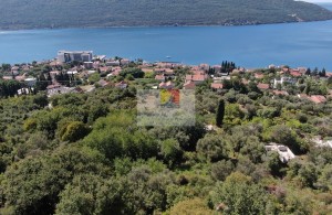 thumb_2943631_happymontenegro1--2-.jpg