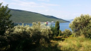 thumb_2943631_happymontenegro1--4-.jpg