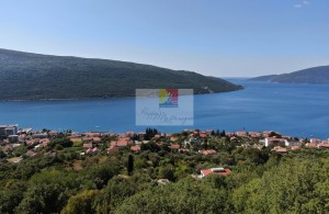 thumb_2943631_happymontenegro1--5-.jpg