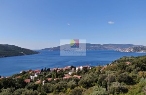 thumb_2943631_happymontenegro1--6-.jpg