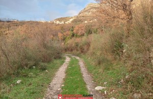 thumb_2951507_sea-view-real-estate-montenegro-budva-kamin-nekretnine_3.jpg