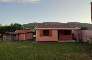 thumb_2951736_img_6050.jpg