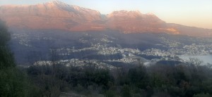 thumb_2954561_20230208_165530.jpg