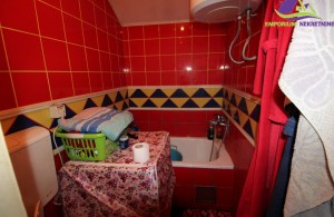 thumb_2956328_img_1177--medium-.jpg