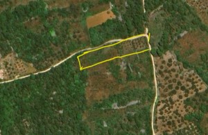 thumb_2960202_screenshot_20230217-192904_maps.jpg