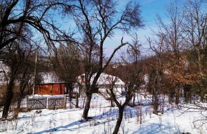 thumb_2968030_1.jpg