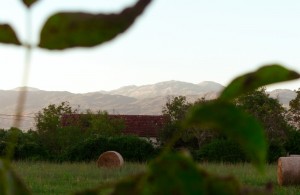 thumb_2969838_img-ae2ca02990860c7452d82f0c449b6bfe-v.jpg