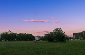 thumb_2969838_img-fce6dff6e1f14cc4cb37c9e47c95e93b-v.jpg