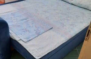 thumb_2971299_img-0530db93f9bf9ac4aaa238d74aab10dc-v.jpg