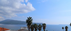 thumb_2979119_pogled.jpg