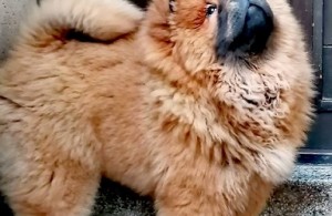 thumb_2981619_1.jpg