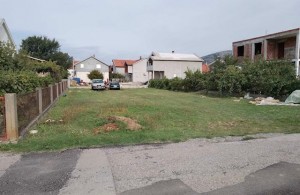 thumb_2986292_img_0599.jpg