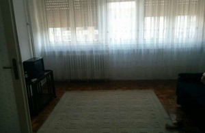 thumb_2993449_mirijevo--3-.jpg