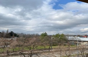 thumb_2995243_10.jpg