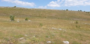 thumb_2998230_1479-1481_.jpg_pogled-s-magistrale.pogled-prema-sjeveru.jpg