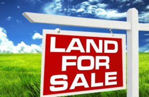 thumb_3002436_land-for-sale-image-1.jpg