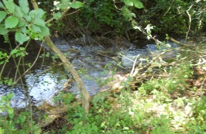 thumb_3004828_a.jpg