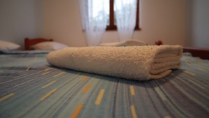 thumb_3006818_20210810201241_img_2496.jpg