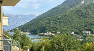 thumb_3030799_img_7856.jpg