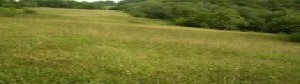 thumb_3060062_viber_image_2022-11-09_11-08-11-848.jpg