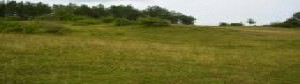 thumb_3060062_viber_image_2022-11-09_11-08-14-585.jpg