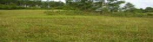 thumb_3060062_viber_image_2022-11-09_11-08-16-650.jpg