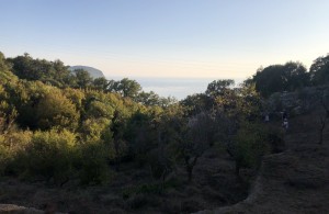 thumb_3063550_img_1301.jpg