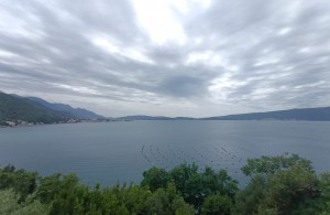 thumb_3064078_img_20240603_121825268.jpg