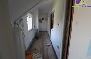 thumb_3068896_img_5541.jpg