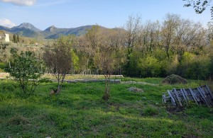 thumb_3075634_img_20220420_174012781_hdr.jpg