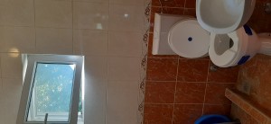 thumb_3077424_20230811_100038.jpg