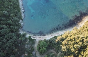 thumb_3082440_2938790_dji_0003.jpeg