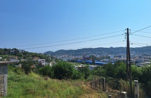 thumb_3086884_20230818_145841.jpg